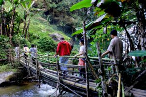 voyage respect nature